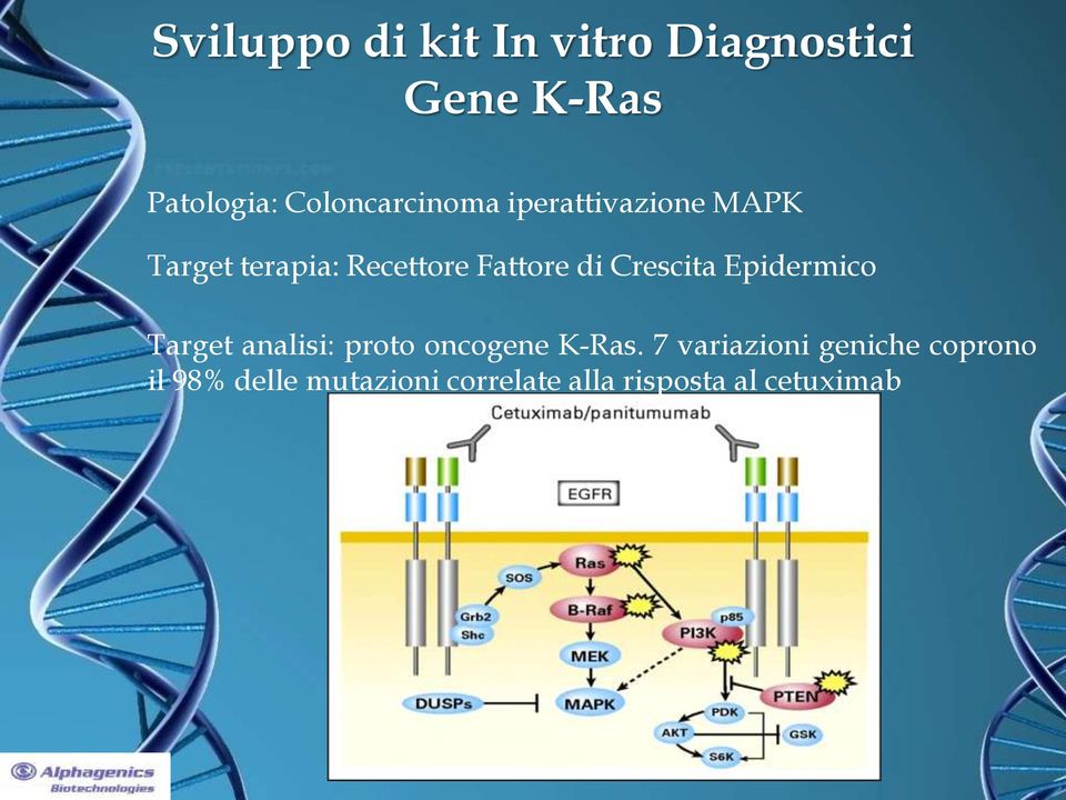 Target analisi: proto oncogene K-Ras.