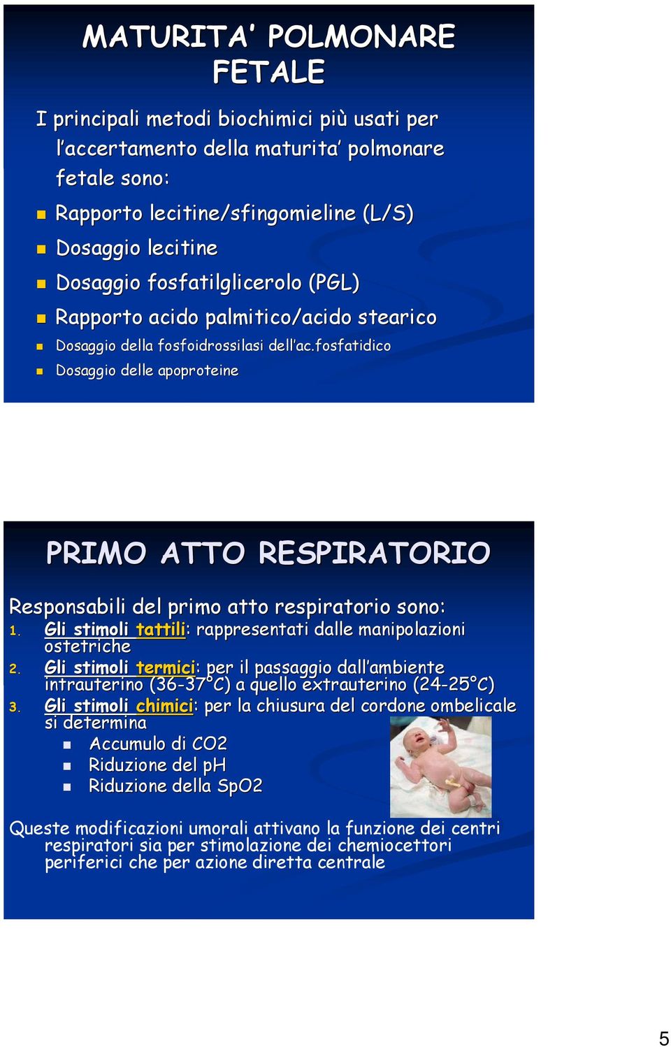 fosfatidico Dosaggio delle apoproteine PRIMO ATTO RESPIRATORIO Responsabili del primo atto respiratorio sono: 1. Gli stimoli tattili: : rappresentati dalle manipolazioni ostetriche 2.