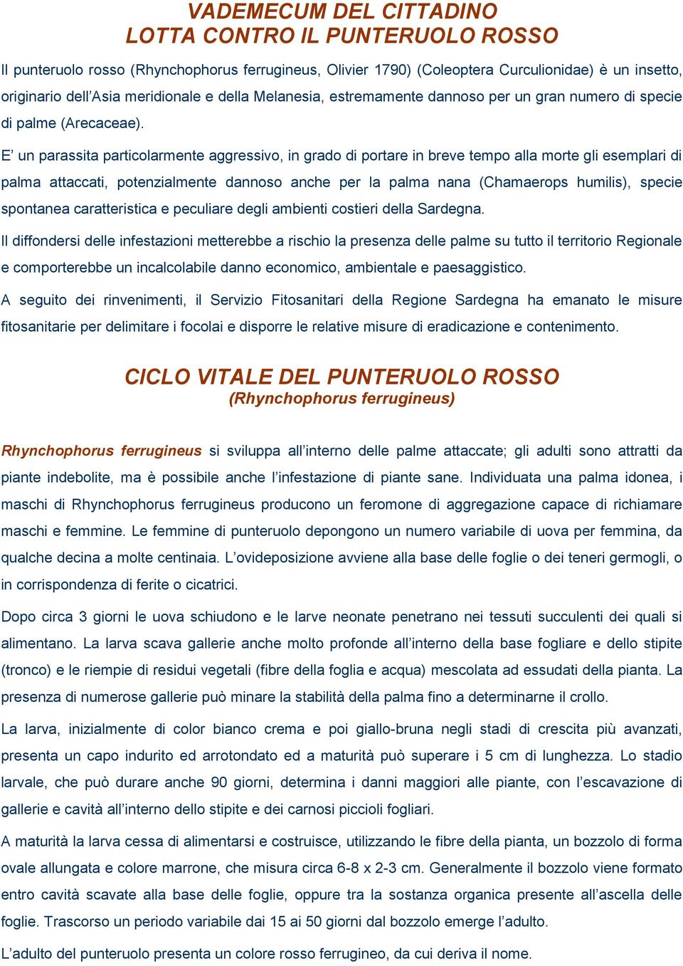 E un parassita particolarmente aggressivo, in grado di portare in breve tempo alla morte gli esemplari di palma attaccati, potenzialmente dannoso anche per la palma nana (Chamaerops humilis), specie