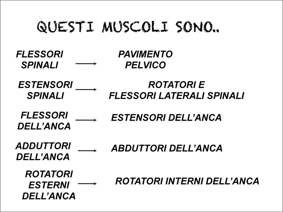 ADDUTTORI DELL ANCA ROTATORI ESTERNI DELL ANCA PAVIMENTO