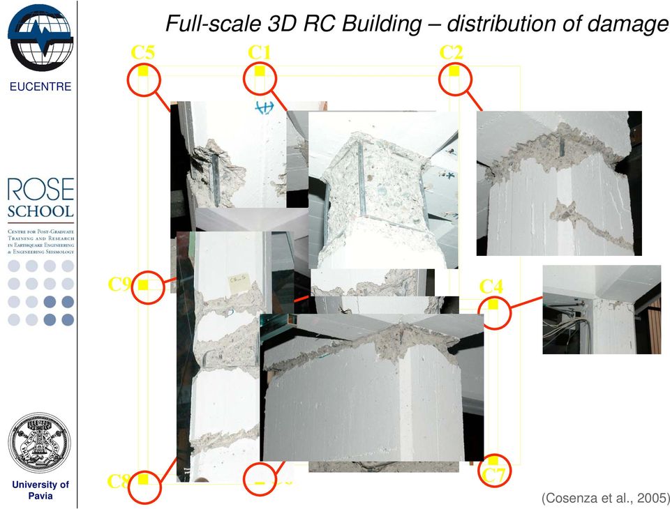 distribution of