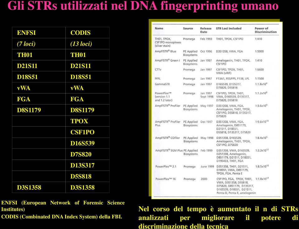 ENFSI (European Network of Forensic Science Institutes) CODIS (Combinated DNA Index System) della FBI.