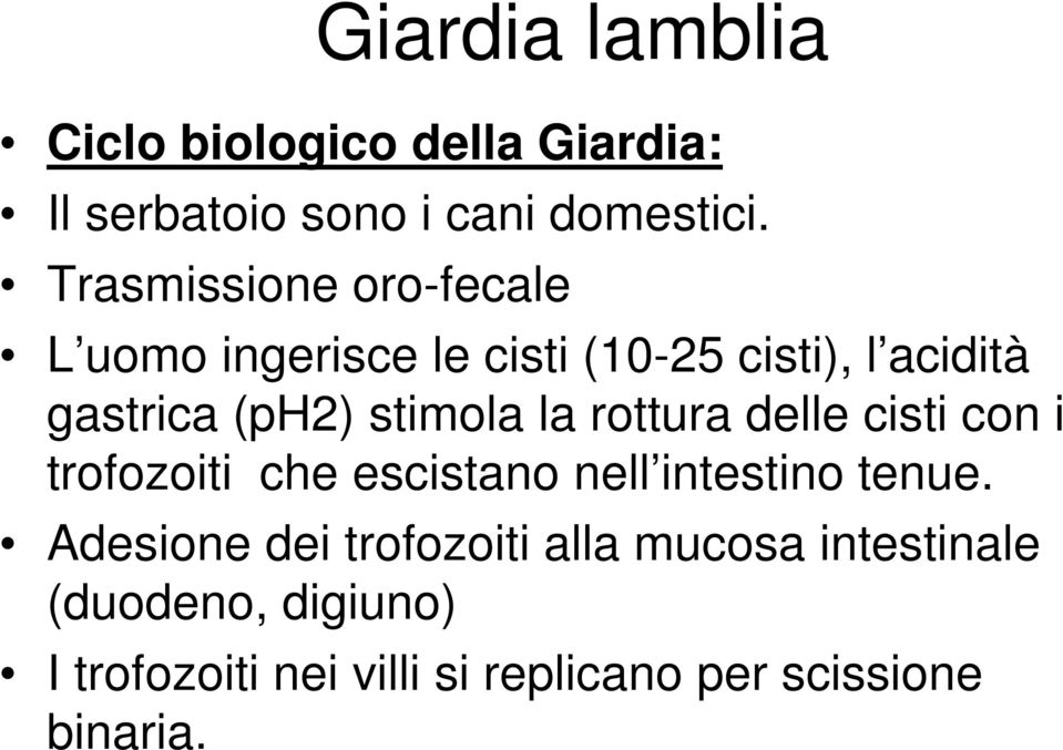 stimola la rottura delle cisti con i trofozoiti che escistano nell intestino tenue.