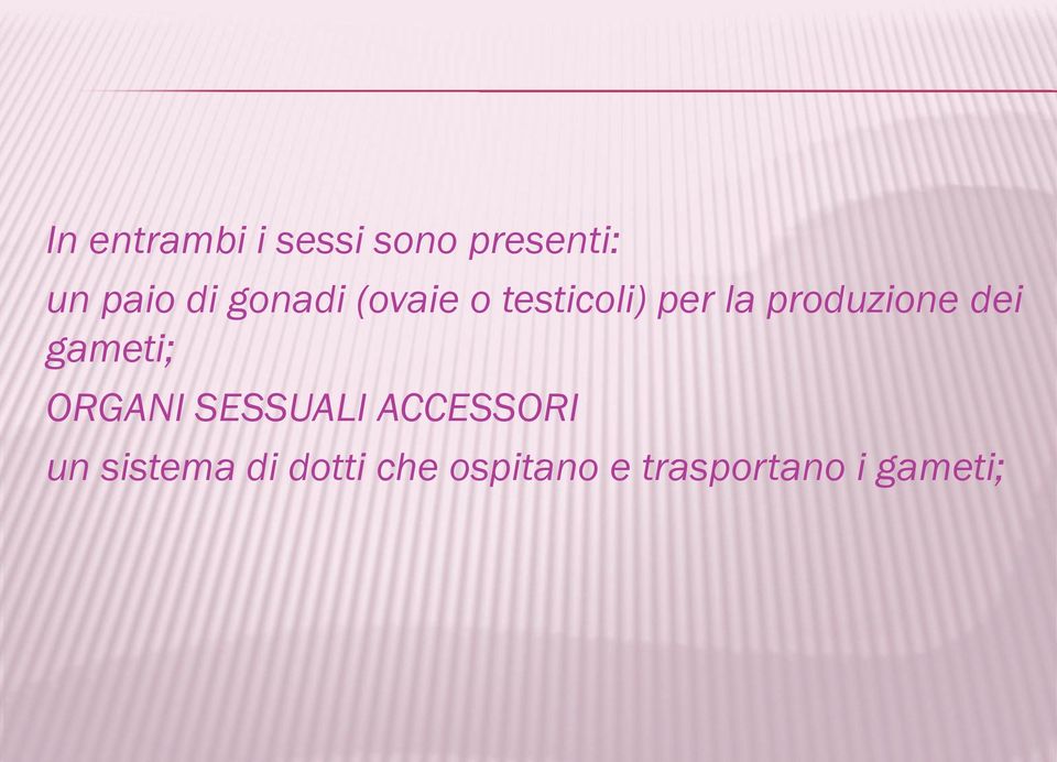 dei gameti; ORGANI SESSUALI ACCESSORI un