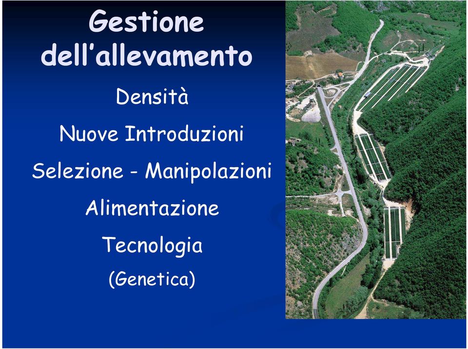 Selezione - Manipolazioni