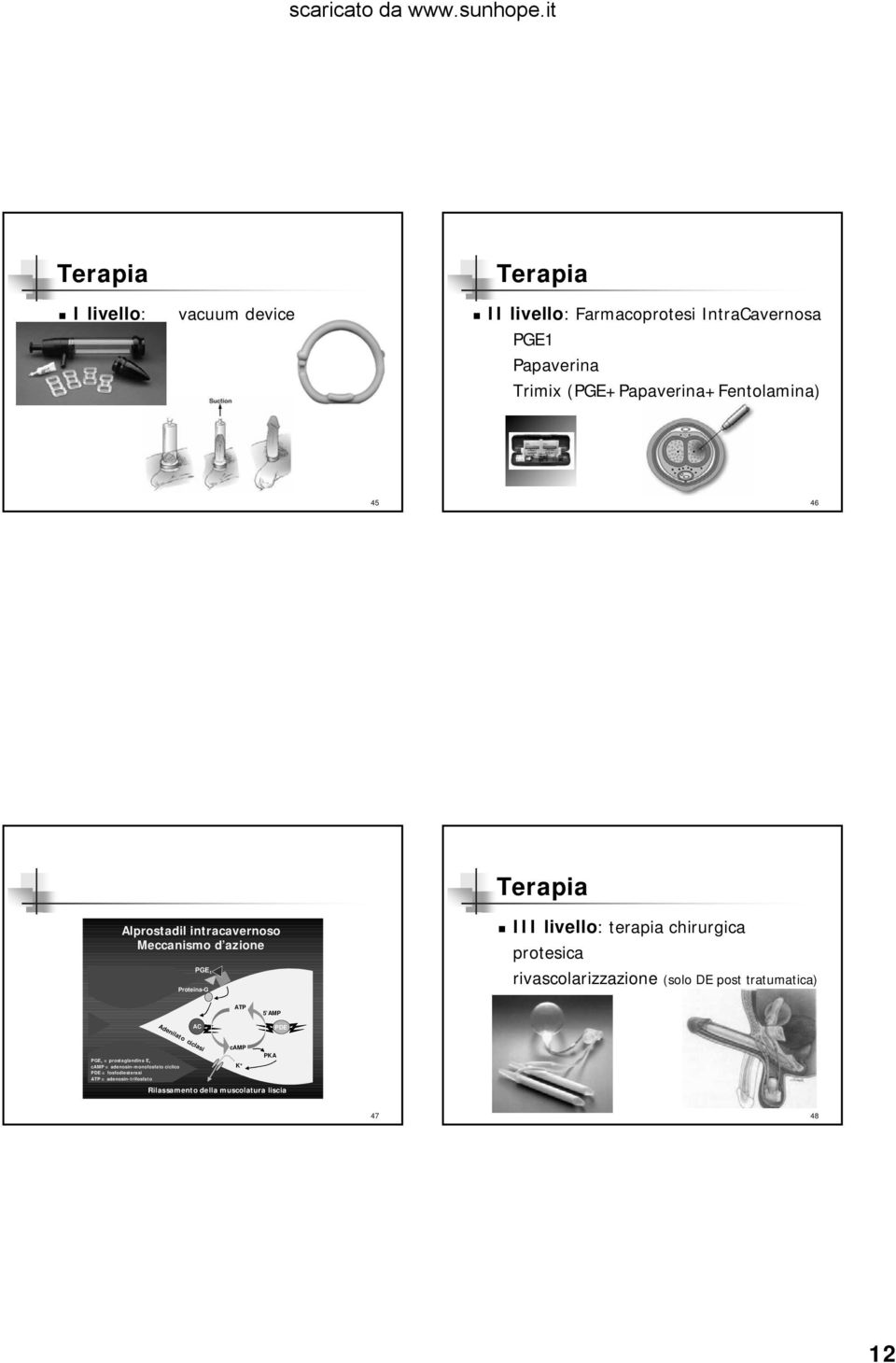 terapia chirurgica protesica rivascolarizzazione (solo DE post tratumatica) ATP 5 AMP Adenilato ciclasi AC PDE PGE 1 =