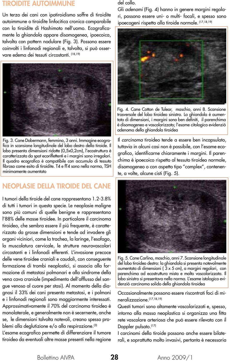 Possono essere coinvolti i linfonodi regionali e, talvolta, si può osservare edema dei tessuti circostanti. (18,19) del collo. Gli adenomi (Fig.