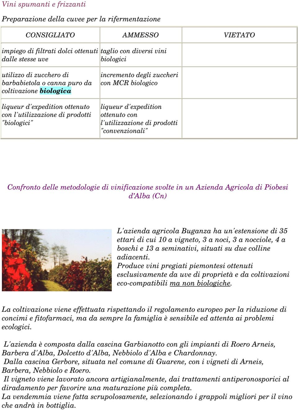 l'utilizzazione di prodotti "convenzionali" Confronto delle metodologie di vinificazione svolte in un Azienda Agricola di Piobesi d Alba (Cn) L'azienda agricola Buganza ha un'estensione di 35 ettari