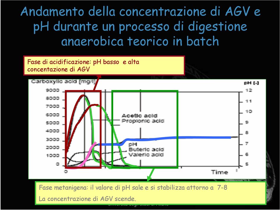 basso e alta concentazione di AGV Fase metanigena: il valore di ph