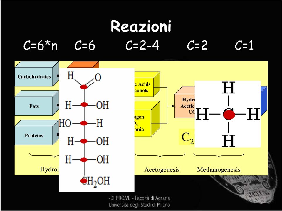 Hydrogen CO 2 Ammonia Hydrogen Acetic Acid CO 2 Aminoacids C 2 H