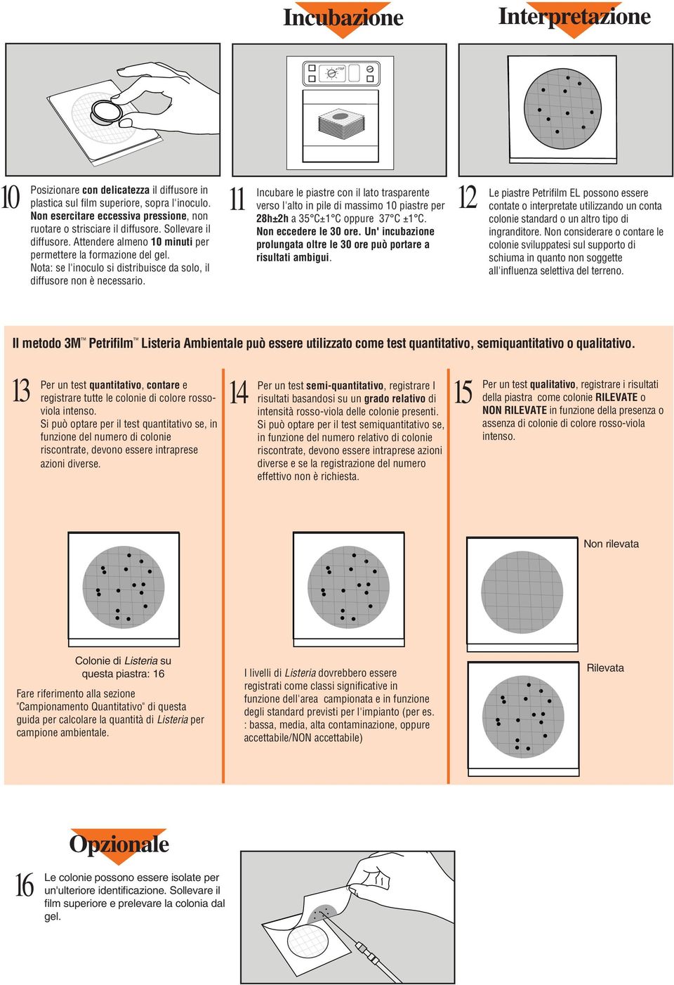 Nota: se l'inoculo si distribuisce da solo, il diffusore non è necessario.