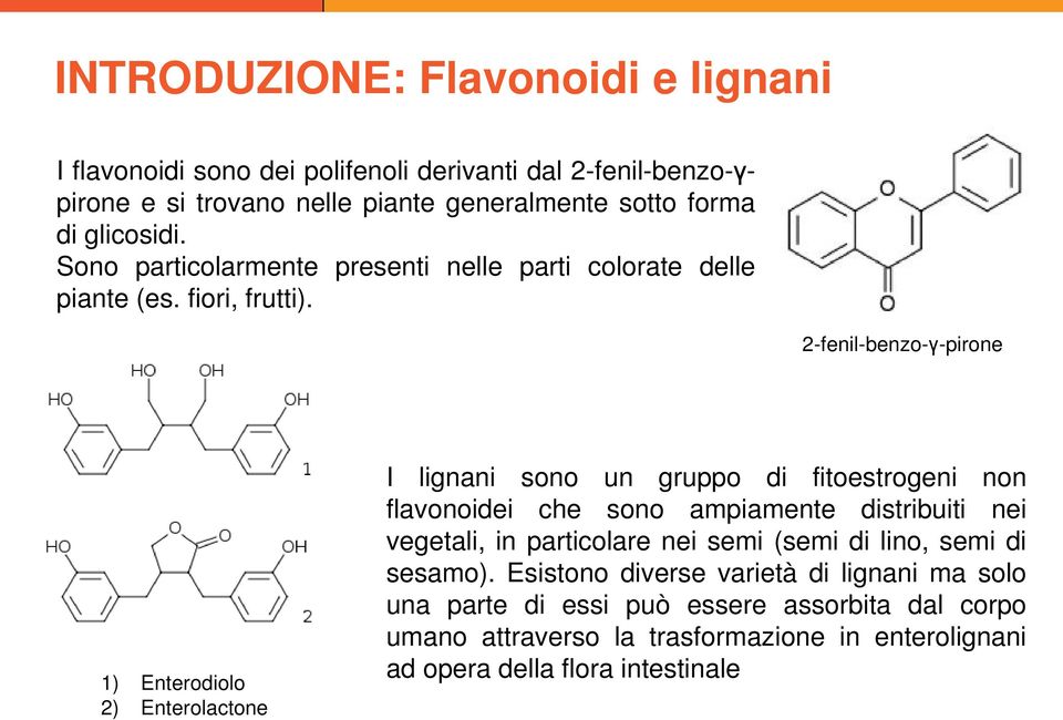 2-fenil-benzo-γ-pirone 1) Enterodiolo 2) Enterolactone I lignani sono un gruppo di fitoestrogeni non flavonoidei che sono ampiamente distribuiti nei vegetali, in