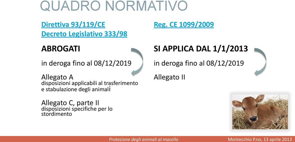 stabulazione degli animali Allegato C, parte II disposizioni specifiche per lo