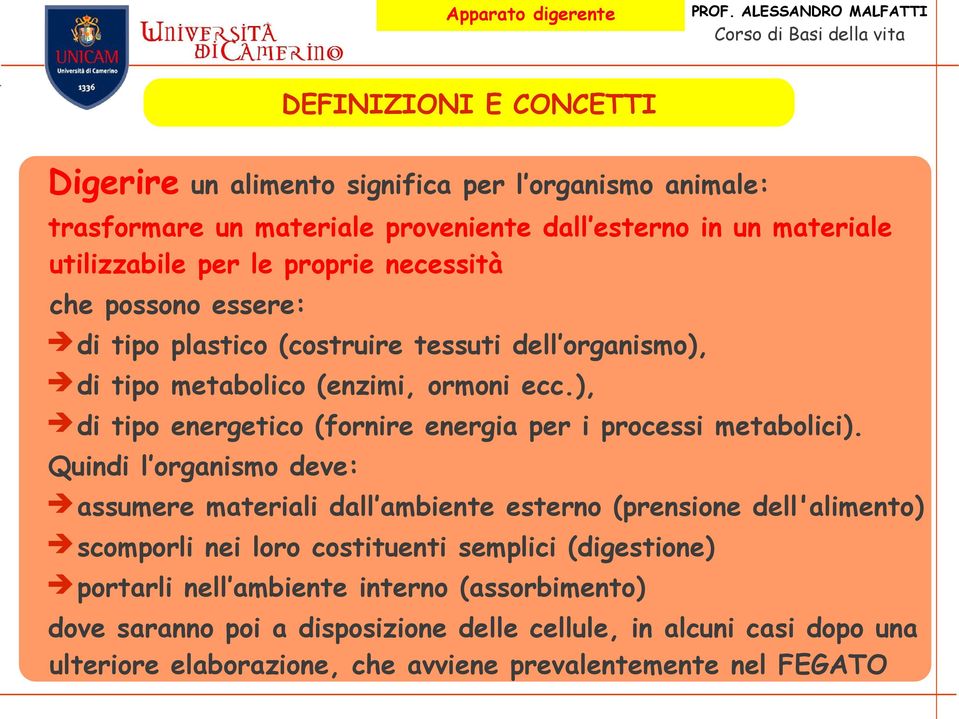 ), di tipo energetico (fornire energia per i processi metabolici).