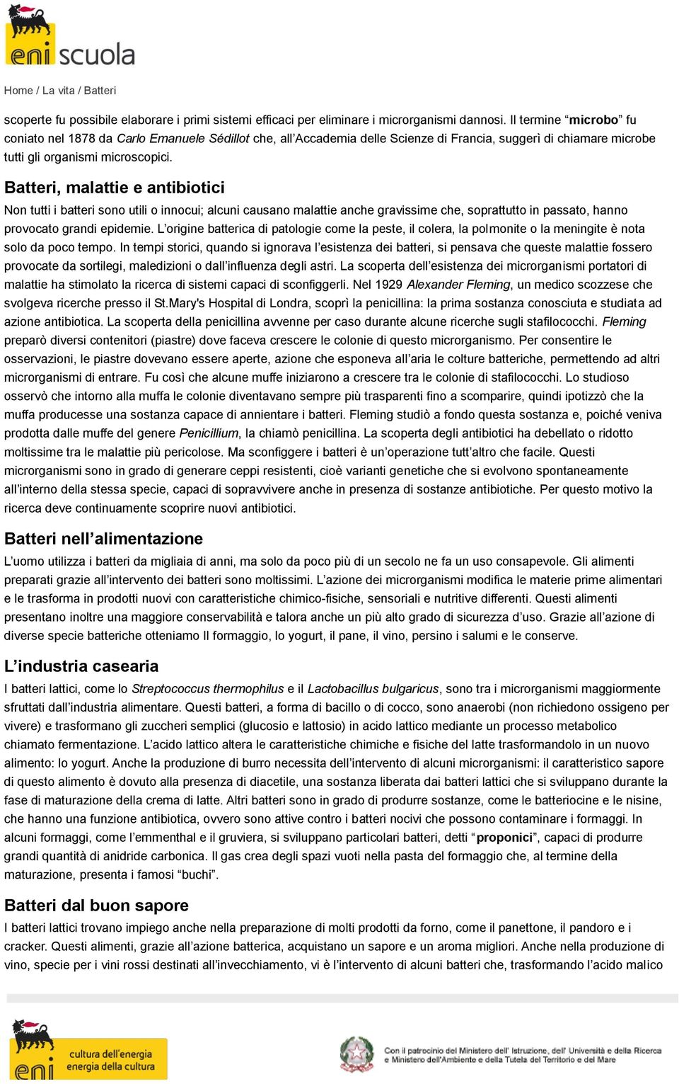 Batteri, malattie e antibiotici Non tutti i batteri sono utili o innocui; alcuni causano malattie anche gravissime che, soprattutto in passato, hanno provocato grandi epidemie.