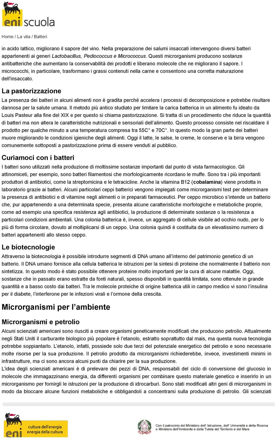 I micrococchi, in particolare, trasformano i grassi contenuti nella carne e consentono una corretta maturazione dell'insaccato.