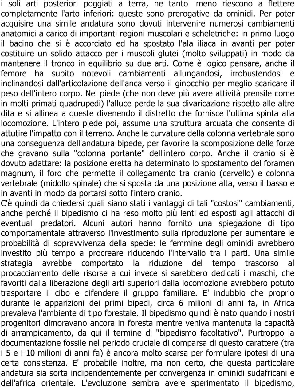 ha spostato l'ala iliaca in avanti per poter costituire un solido attacco per i muscoli glutei (molto sviluppati) in modo da mantenere il tronco in equilibrio su due arti.