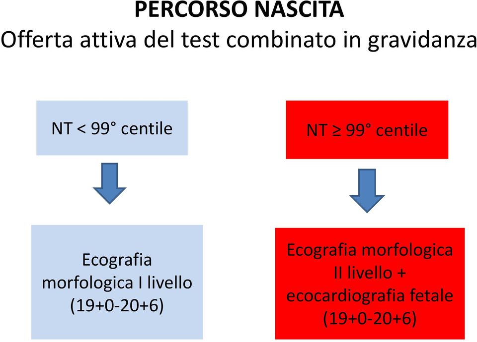 Ecografia morfologica I livello (19+0-20+6)