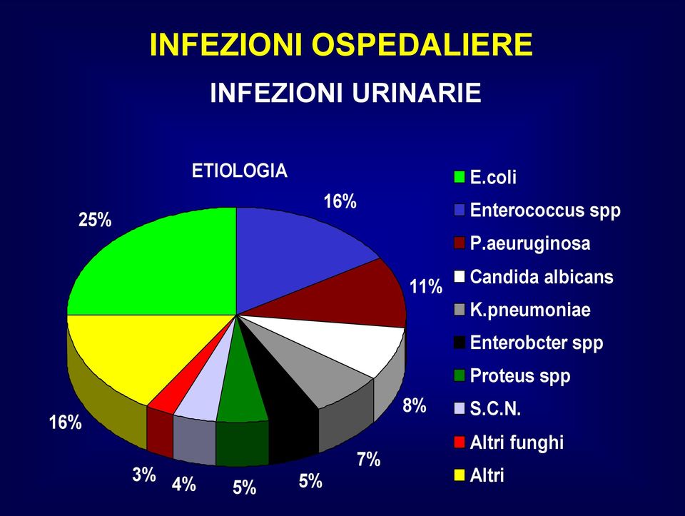 aeuruginosa 11% Candida albicans K.