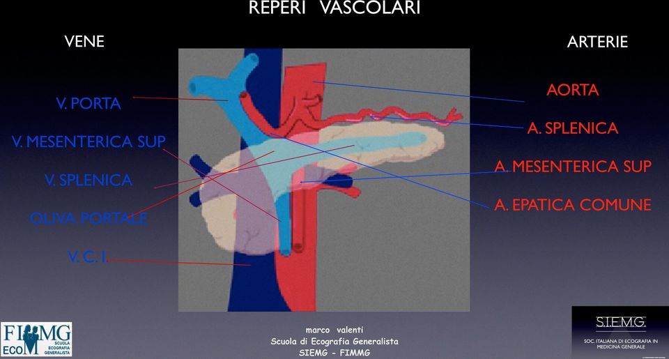 SPLENICA OLIVA PORTALE A. SPLENICA A.