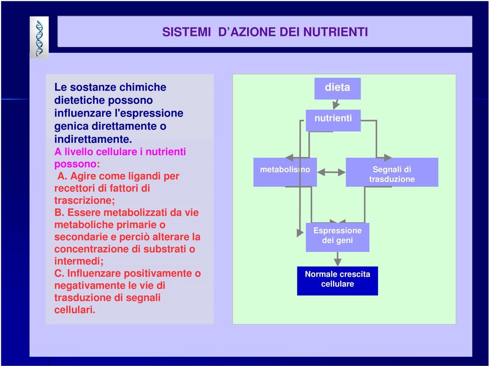 Essere metabolizzati da vie metaboliche primarie o secondarie e perciò alterare la concentrazione di substrati o intermedi; C.