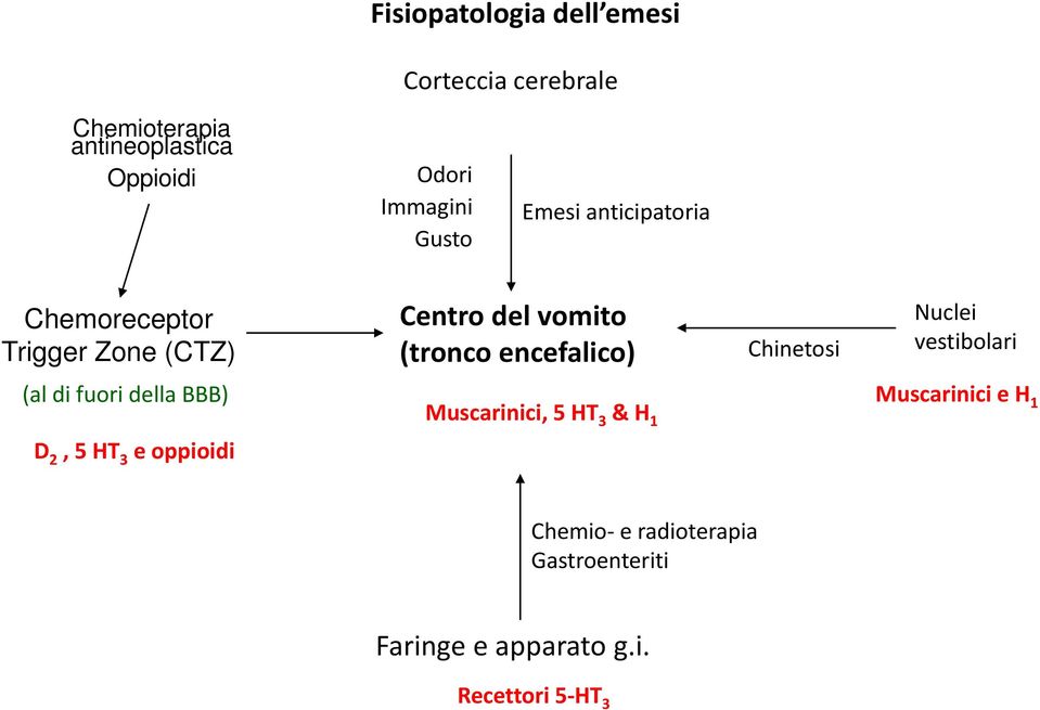 encefalico) Chinetosi Nuclei vestibolari (al di fuori della BBB) Muscarinici, 5 HT 3 & H 1