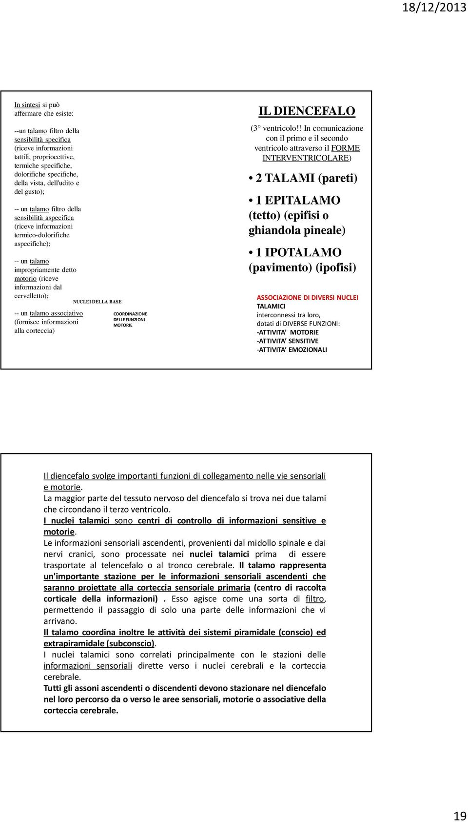 cervelletto); -- un talamo associativo (fornisce informazioni alla corteccia) NUCLEI DELLA BASE COORDINAZIONE DELLE FUNZIONI MOTORIE IL DIENCEFALO (3 ventricolo!