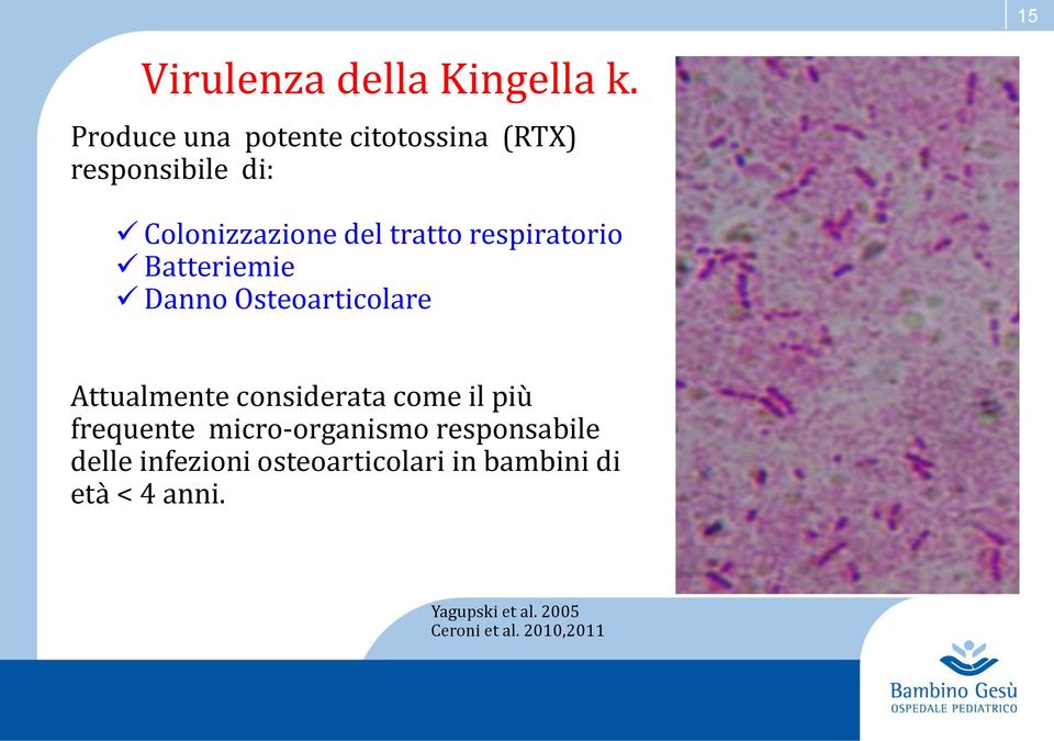 respiratorio Batteriemie Danno Osteoarticolare Attualmente considerata come il più