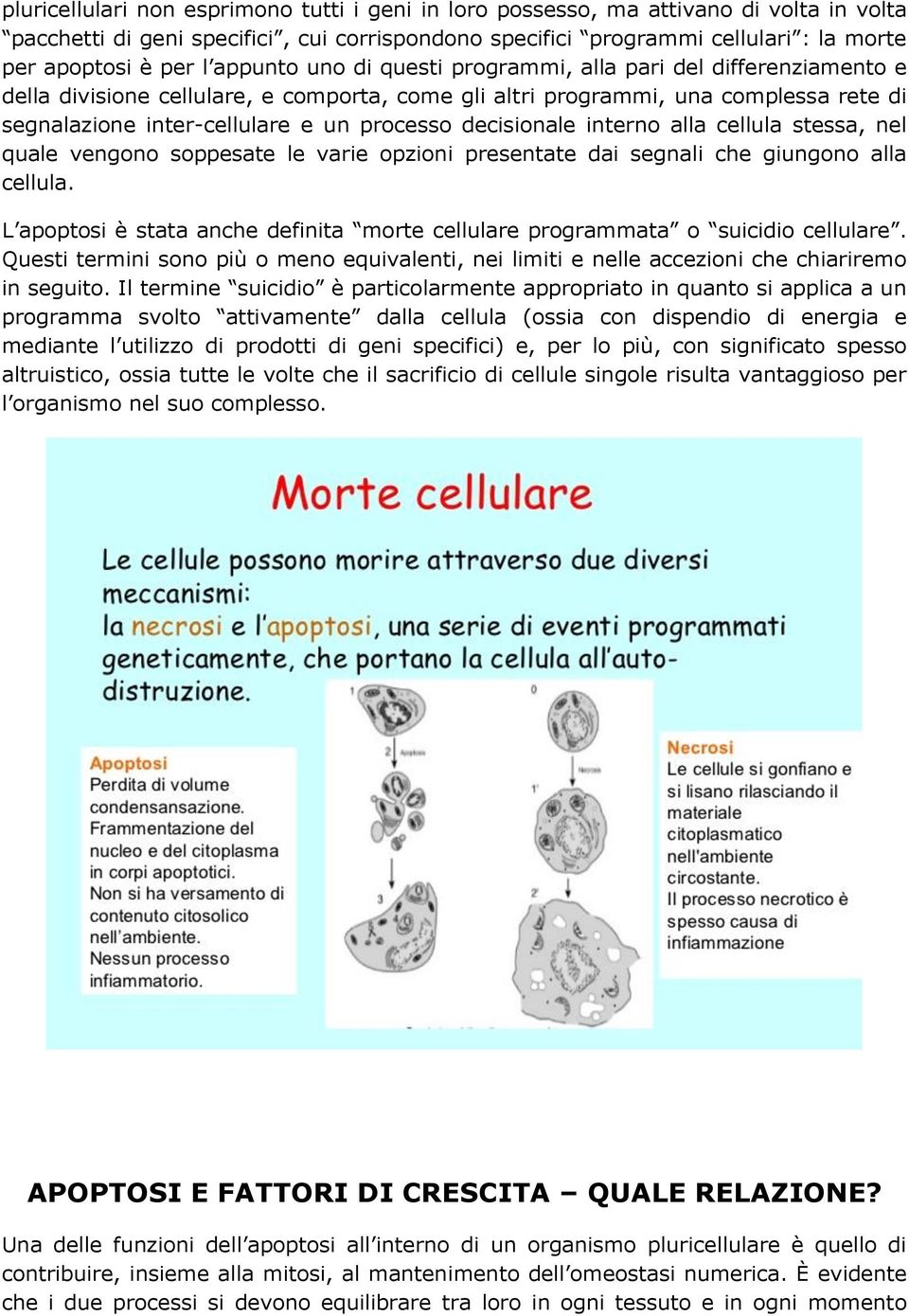 decisionale interno alla cellula stessa, nel quale vengono soppesate le varie opzioni presentate dai segnali che giungono alla cellula.