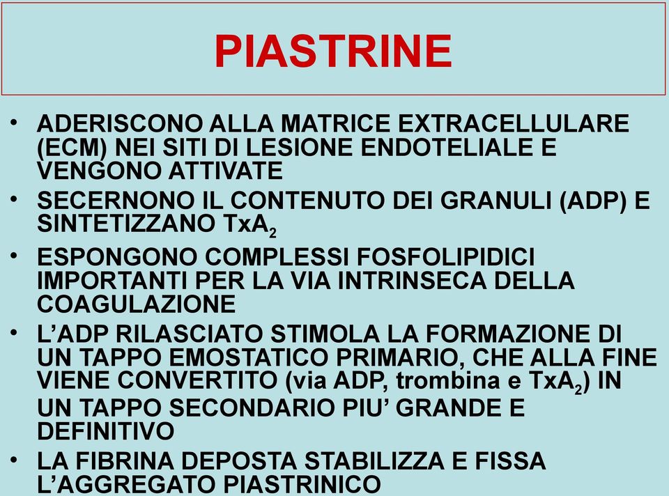 COAGULAZIONE L ADP RILASCIATO STIMOLA LA FORMAZIONE DI UN TAPPO EMOSTATICO PRIMARIO, CHE ALLA FINE VIENE CONVERTITO (via