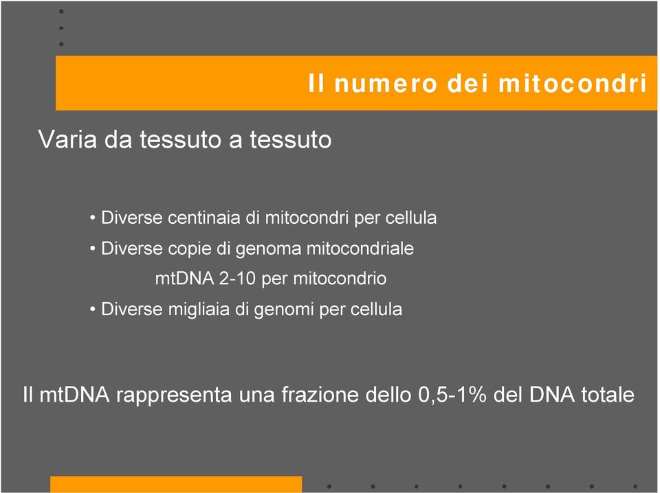 mitocondriale mtdna 2-10 per mitocondrio Diverse migliaia di