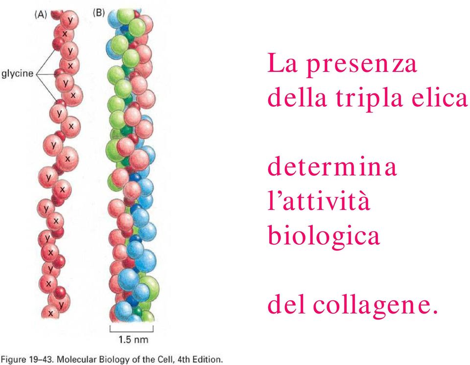 determina l