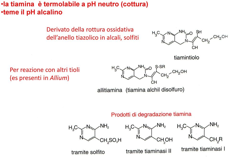 dell anello tiazolico in alcali, solfiti Derivato