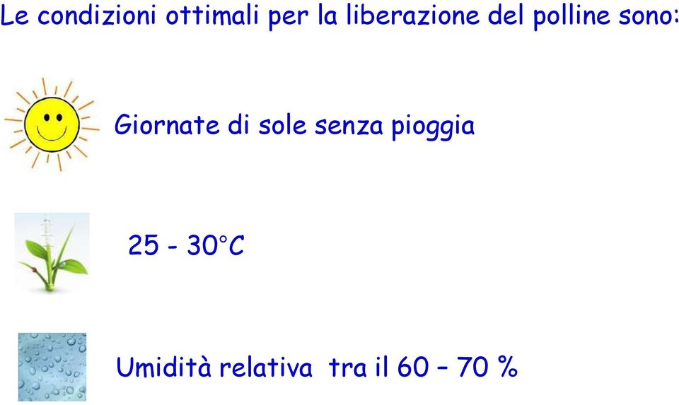 Giornate di sole senza pioggia