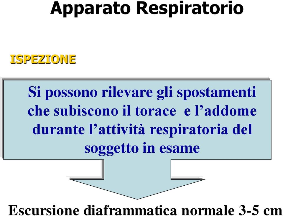 e l addome durante l attività respiratoria del