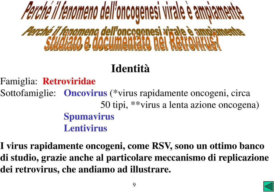 virus rapidamente oncogeni, come RSV, sono un ottimo banco di studio, grazie