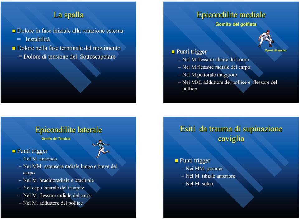 Nel M.pettorale maggiore! Nei MM. adduttore del pollice e flessore del pollice Epicondilite laterale Gomito del Tennista! Nel M. anconeo! Nei MM. estensore radiale lungo e breve del carpo!