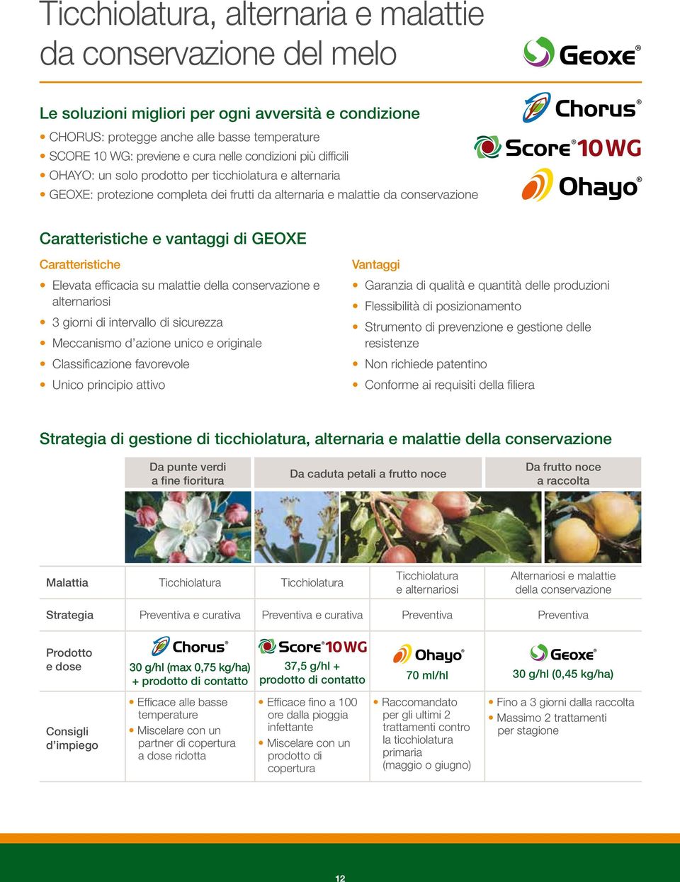 Caratteristiche Elevata efficacia su malattie della conservazione e alternariosi 3 giorni di intervallo di sicurezza Meccanismo d azione unico e originale Classificazione favorevole Unico principio