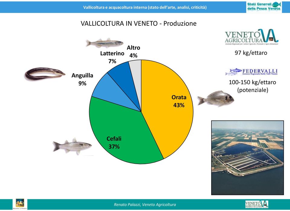 97 kg/ettaro Anguilla 9% Orata