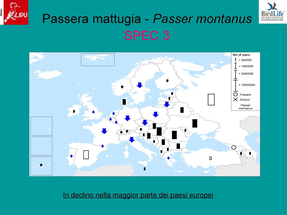 15000000 Present Extinct Passer montanus In