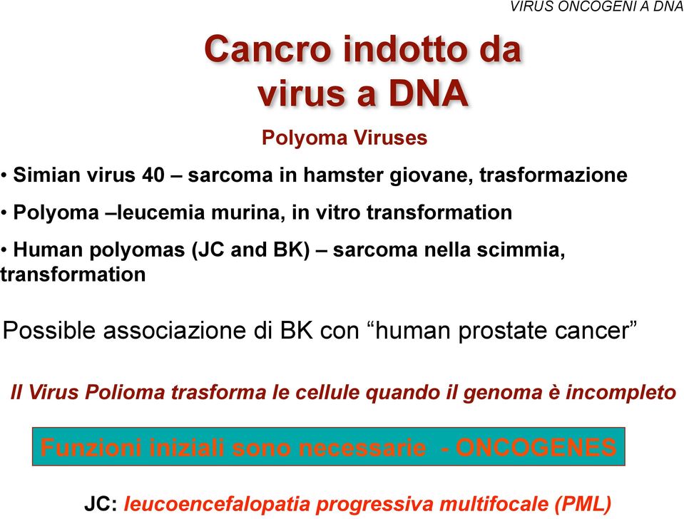 Human polyomas (JC and BK) sarcoma nella scimmia, transformation Possible associazione di BK con human prostate