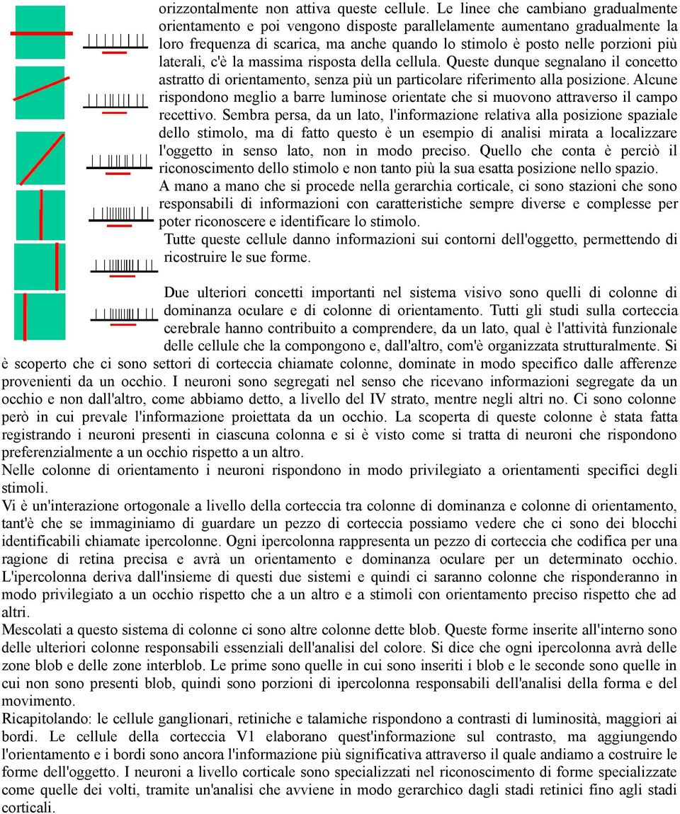 laterali, c'è la massima risposta della cellula. Queste dunque segnalano il concetto astratto di orientamento, senza più un particolare riferimento alla posizione.