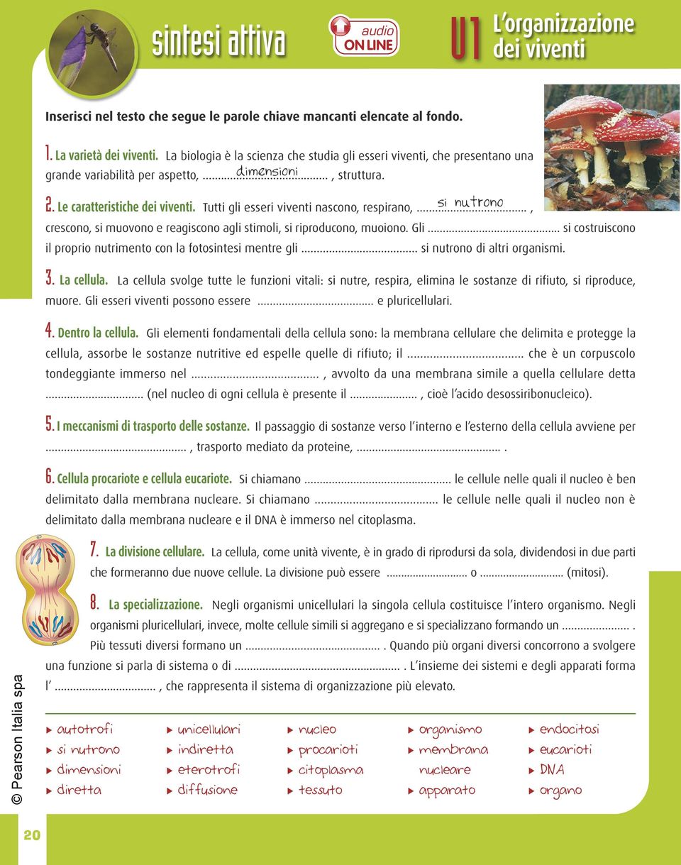 Tutti gli esseri viventi nascono, respirano,... si nutrono, crescono, si muovono e reagiscono agli stimoli, si riproducono, muoiono. Gli.