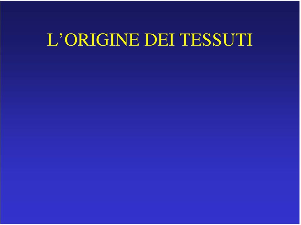 TESSUTI