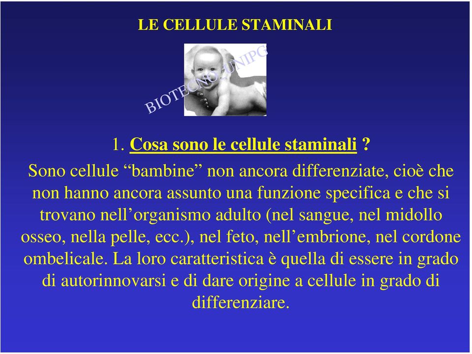 che si trovano nell organismo adulto (nel sangue, nel midollo osseo, nella pelle, ecc.