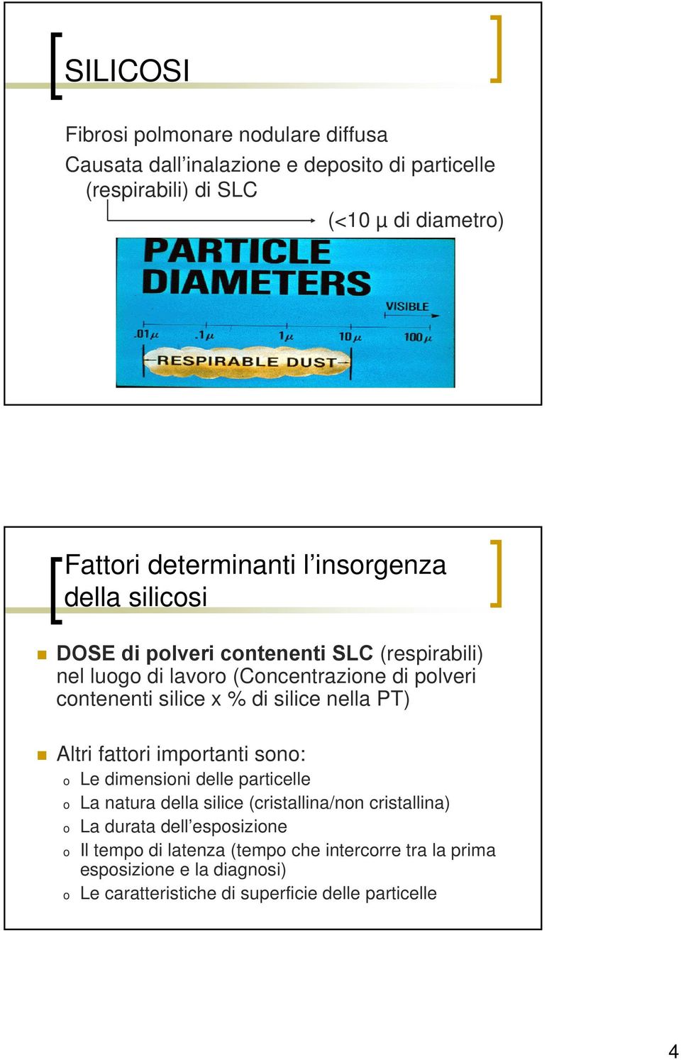 silice x % di silice nella PT) Altri fattori importanti sono: o Le dimensioni delle particelle o La natura della silice (cristallina/non cristallina)
