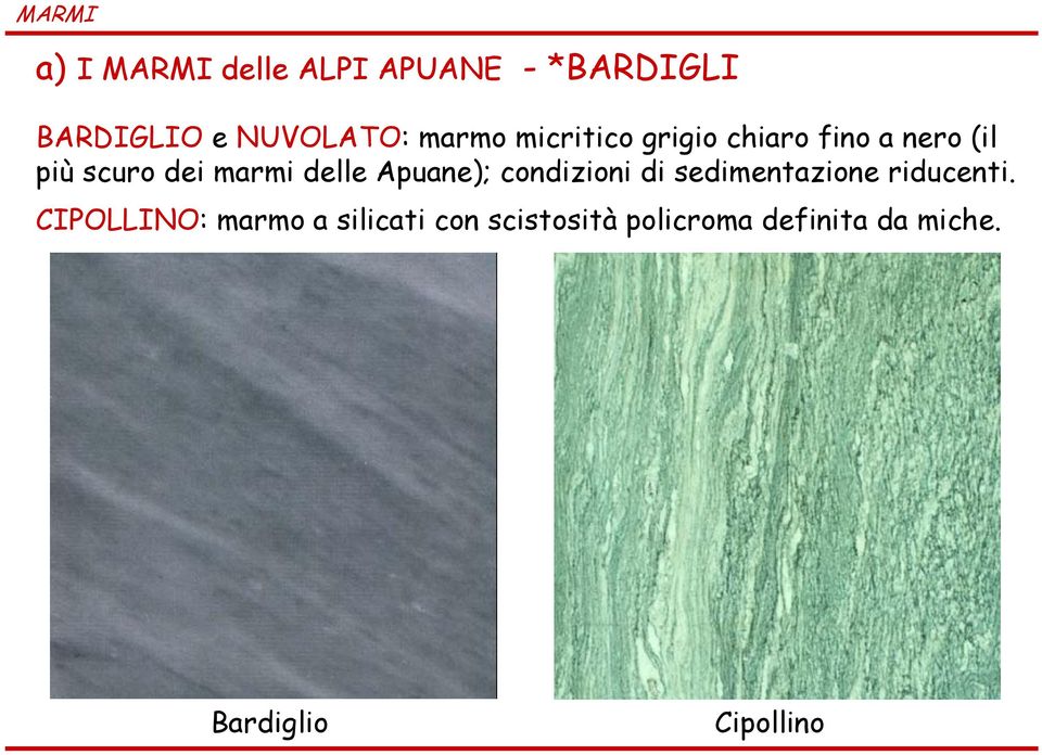 Apuane); condizioni di sedimentazione riducenti.