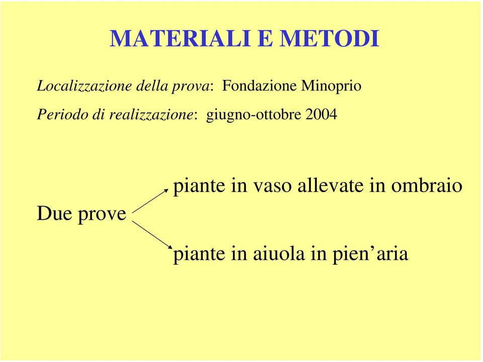 giugno-ottobre 2004 Due prove piante in vaso