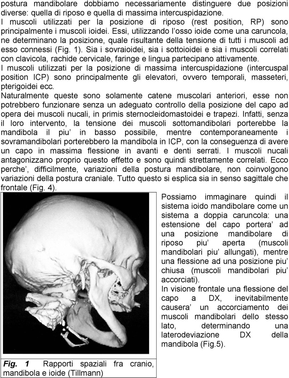 Essi, utilizzando l osso ioide come una caruncola, ne determinano la posizione, quale risultante della tensione di tutti i muscoli ad esso connessi (Fig. 1).