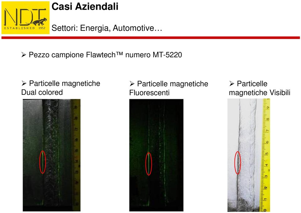 Particelle magnetiche Dual colored Particelle